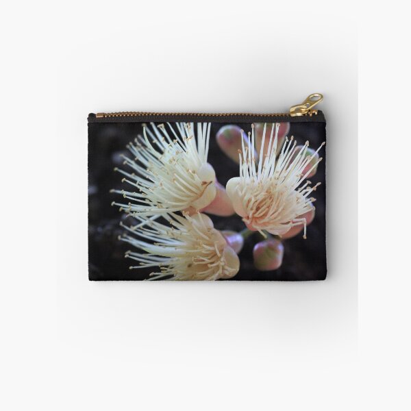 Item preview, Syzygium cormiflorum designed and sold by andrachne.