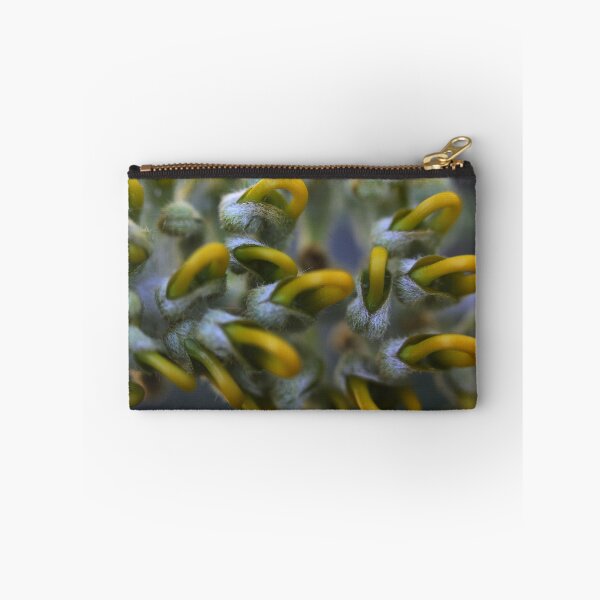 Item preview, Grevillea pteridifolia designed and sold by andrachne.