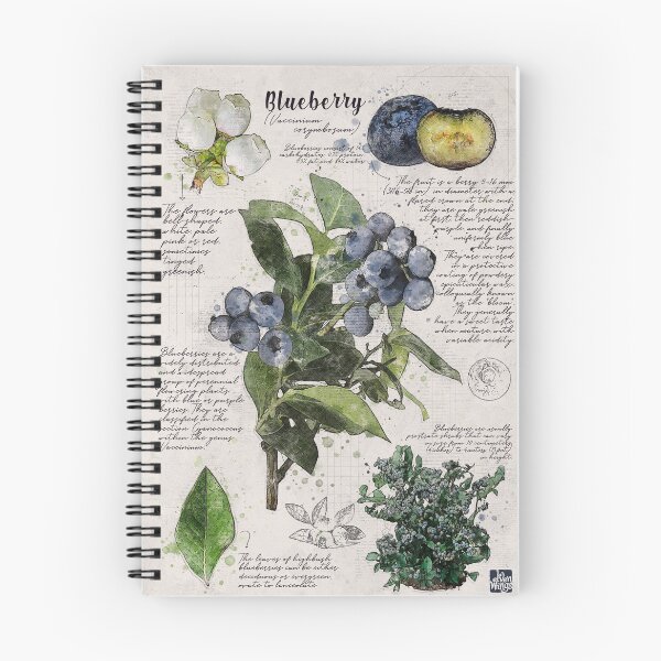 Item preview, Blueberry Vintage Botanical Poster designed and sold by Elvenwings.