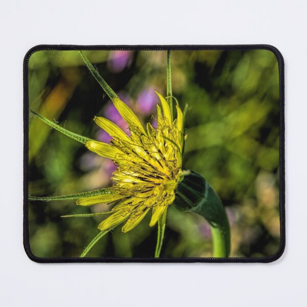 Item preview, Meet Meadow Salsify designed and sold by alanathrower.