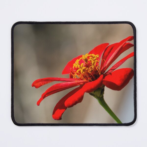 Item preview, Red Zinnia designed and sold by alanathrower.