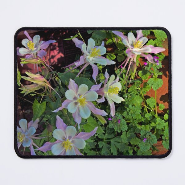 Item preview, Columbine Bouquet designed and sold by alanathrower.