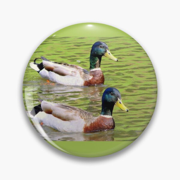 Item preview, Synchronized Swimming Duck Duet  designed and sold by Jean Gregory Evans.