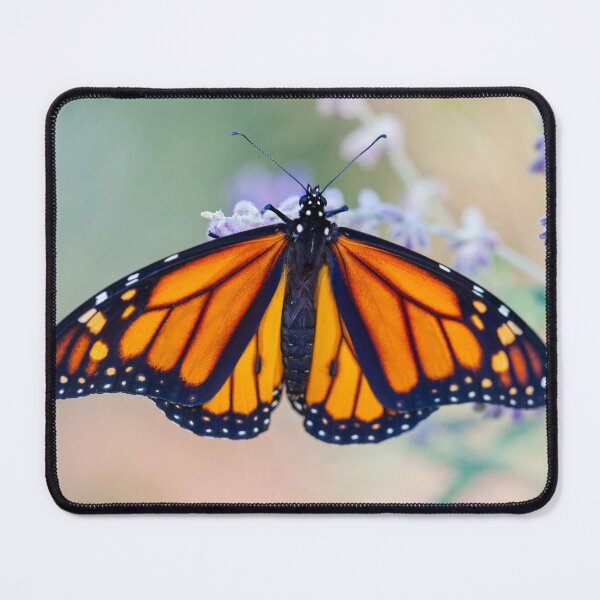 Item preview, Monarch Butterfly designed and sold by Leslie Banks.