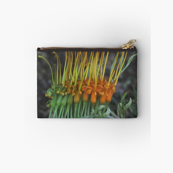 Item preview, Grevillea hybrid designed and sold by andrachne.