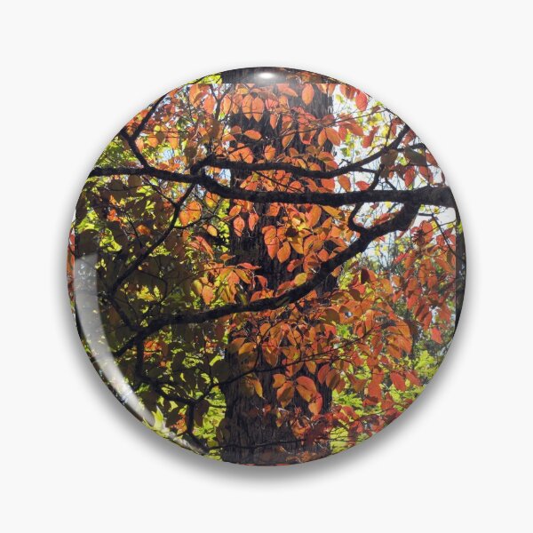Item preview, Autumn Color designed and sold by Jean Gregory Evans.