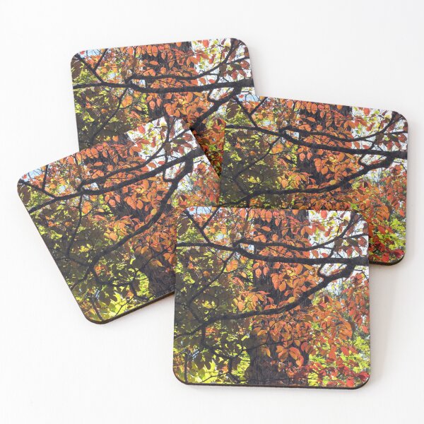Item preview, Autumn Color designed and sold by Jean Gregory Evans.