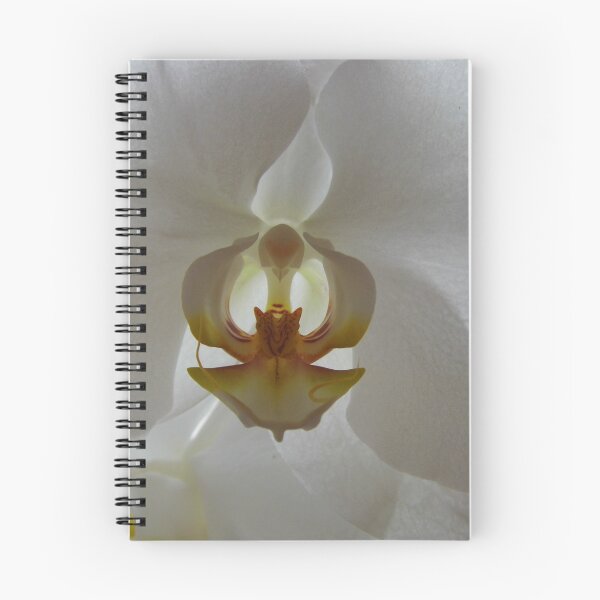 Item preview, Backlit Orchid designed and sold by WildestArt.