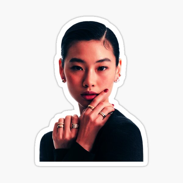 Squid games Hoyeon Jung Kang Sae-byeok artistic portrait Sticker