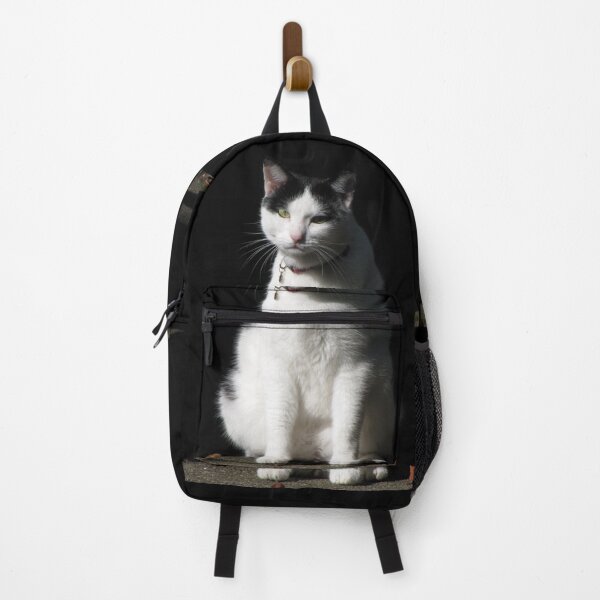 Item preview, Black and White Cat Sitting designed and sold by Jean Gregory Evans.