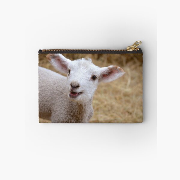 Item preview, Little Lamb designed and sold by Bami.