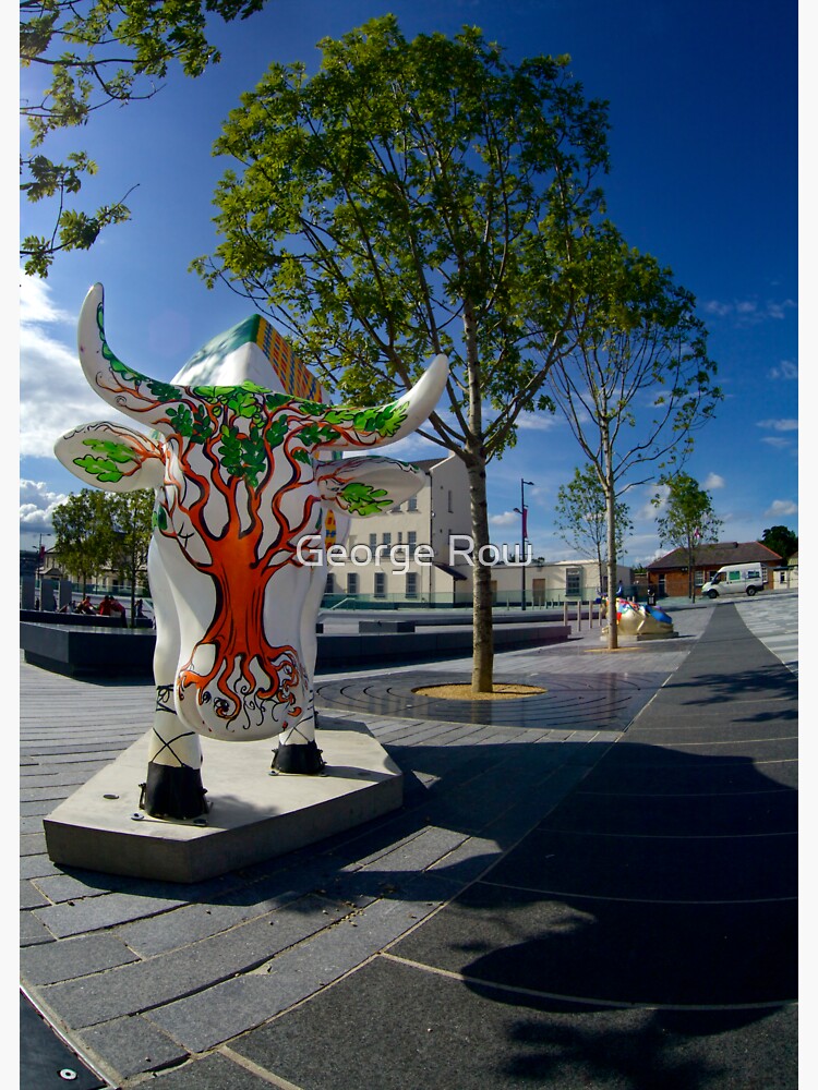 Cows and Trees, Ebrington Square, Derry by VeryIreland