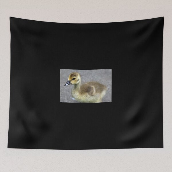 Item preview, Canada goose gossling designed and sold by elaine pearson.