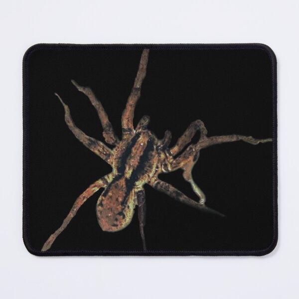 Item preview, Spidey sense designed and sold by KnightStarrArt.