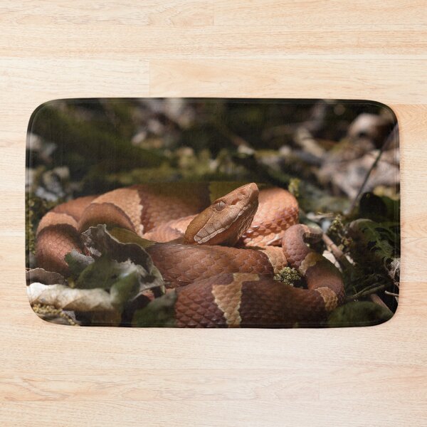 Item preview, Broad-banded Copperhead Print designed and sold by Paul-Prints.