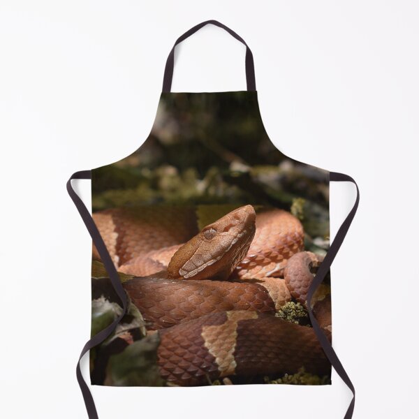 Item preview, Broad-banded Copperhead Print designed and sold by Paul-Prints.