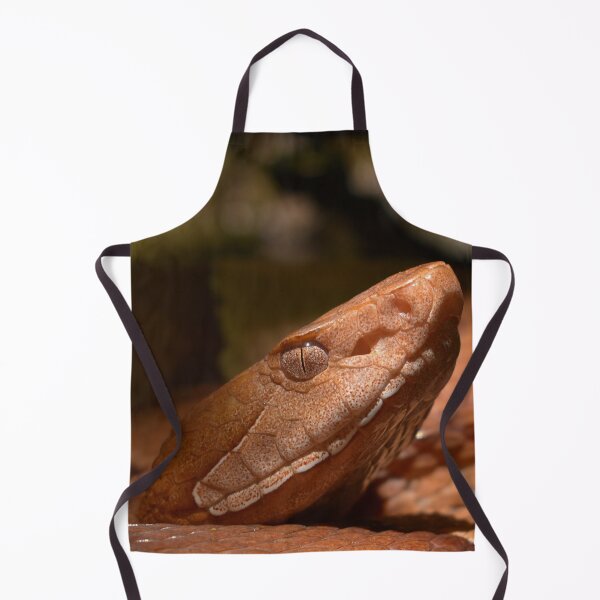 Item preview, Broad-banded Copperhead Closeup Print designed and sold by Paul-Prints.