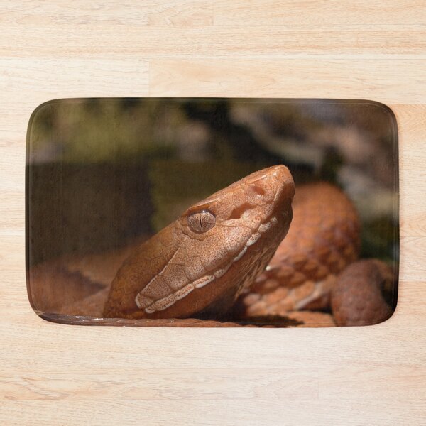Item preview, Broad-banded Copperhead Closeup Print designed and sold by Paul-Prints.