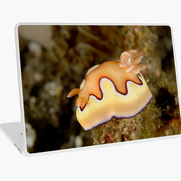 Nudibranch - Chromodoris coi Laptop Skin