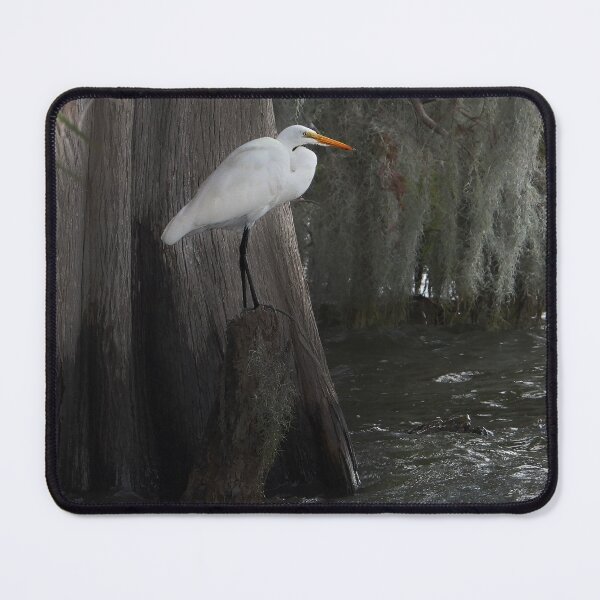 Item preview, Great Egret at the Swamp designed and sold by Jeffrey Mask.