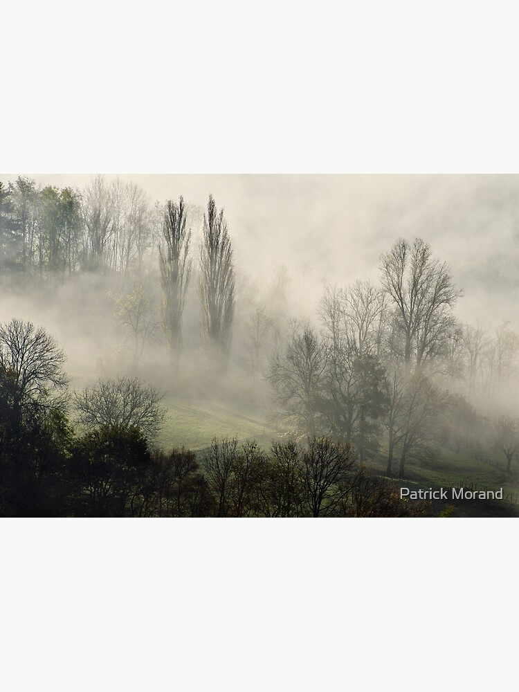 Thumbnail 3 of 3, Photographic Print, A misty autumn morning designed and sold by patmo.