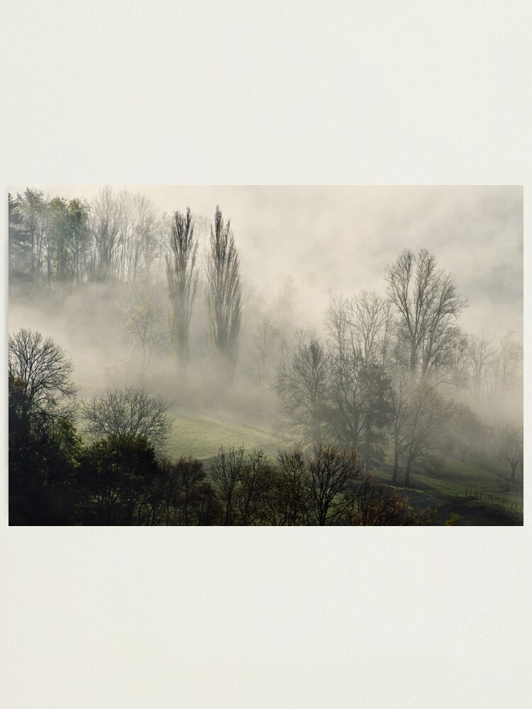 Thumbnail 1 of 3, Photographic Print, A misty autumn morning designed and sold by patmo.