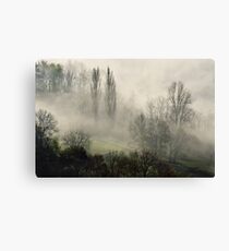 A misty autumn morning Canvas Print