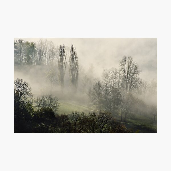 Photographic Print