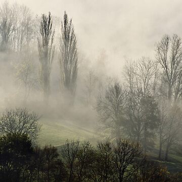 Artwork thumbnail, A misty autumn morning by Patrick Morand