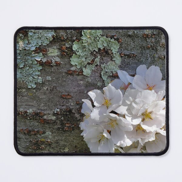 Item preview, Cherry Blossoms and Bark designed and sold by Jeanne Kramer-Smyth.