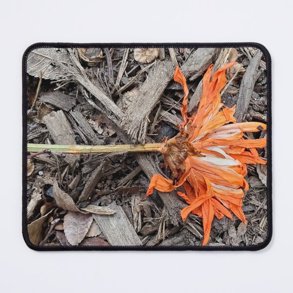 Item preview, Fading Orange Flower On The Ground designed and sold by Jeanne Kramer-Smyth.