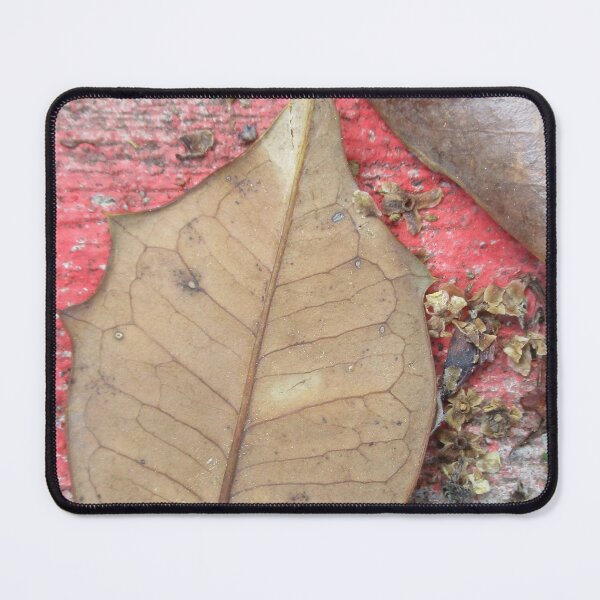 Item preview, Sidewalk Leaf designed and sold by Jeanne Kramer-Smyth.