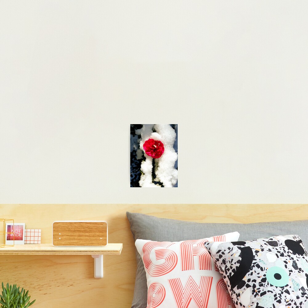 Item preview, Photographic Print designed and sold by danieljanda.