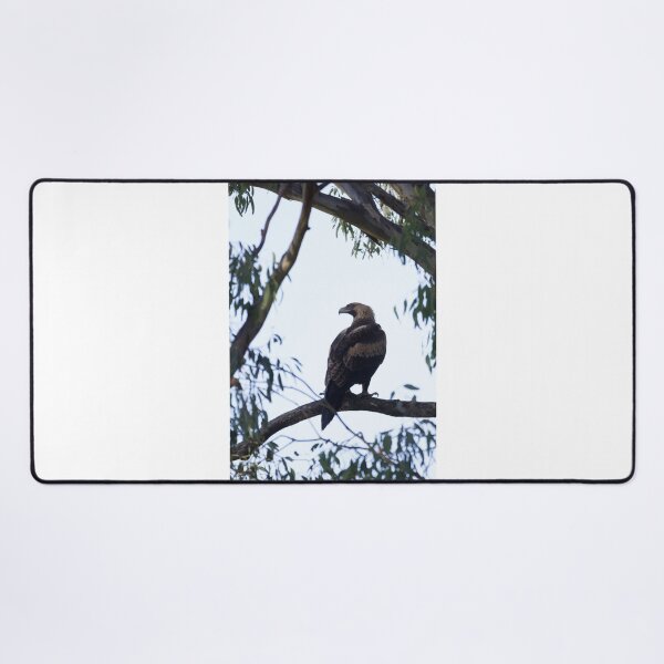 Item preview, Wedge Tail Eagle designed and sold by Withns.