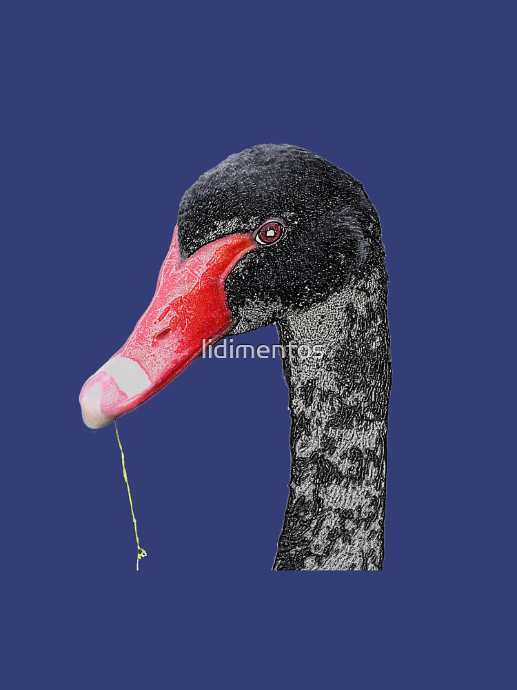 Black Swan by lidimentos