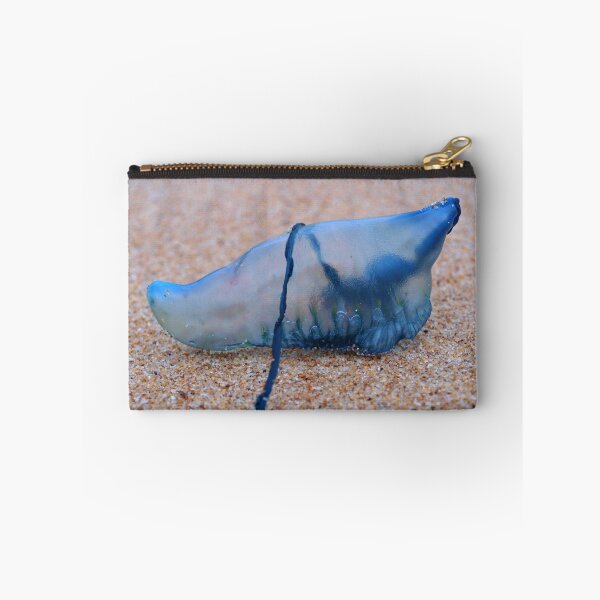Item preview, Bluebottle designed and sold by geophotographic.