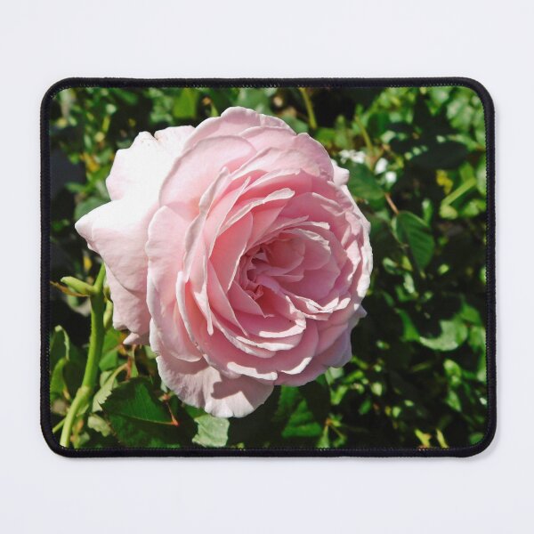 Item preview, rosey designed and sold by corinthiansgirl.