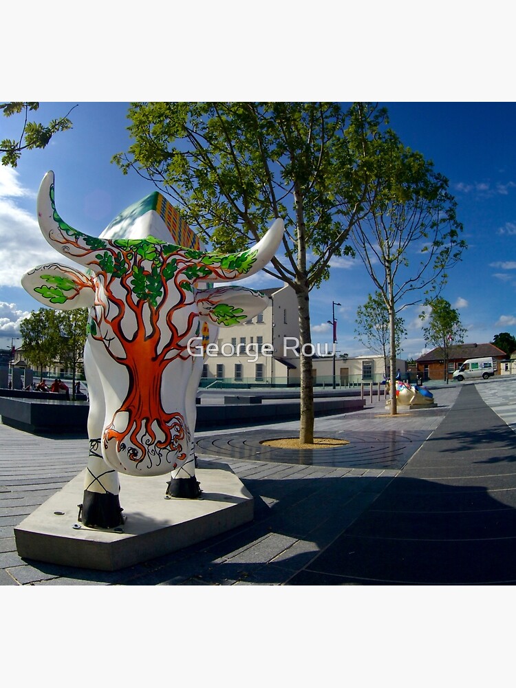 Cows and Trees, Ebrington Square, Derry by VeryIreland