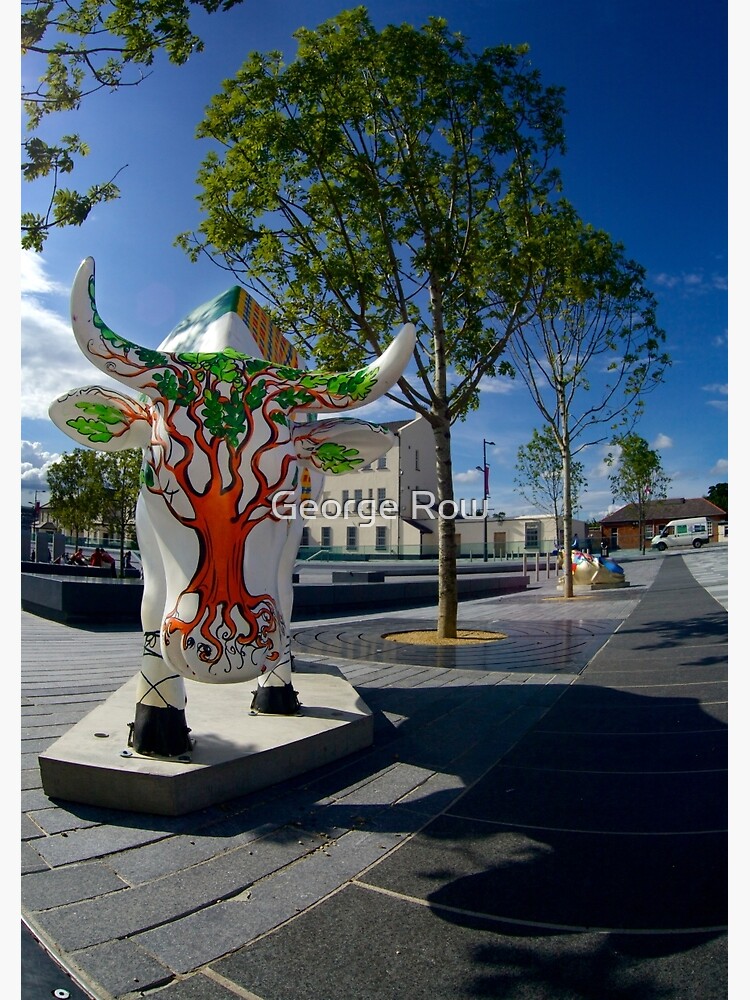 Cows and Trees, Ebrington Square, Derry by VeryIreland