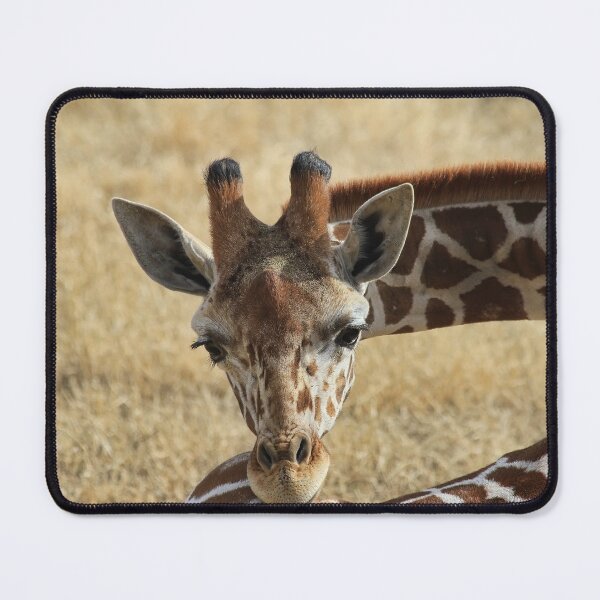 Item preview, Graceful designed and sold by Teresa Zieba.