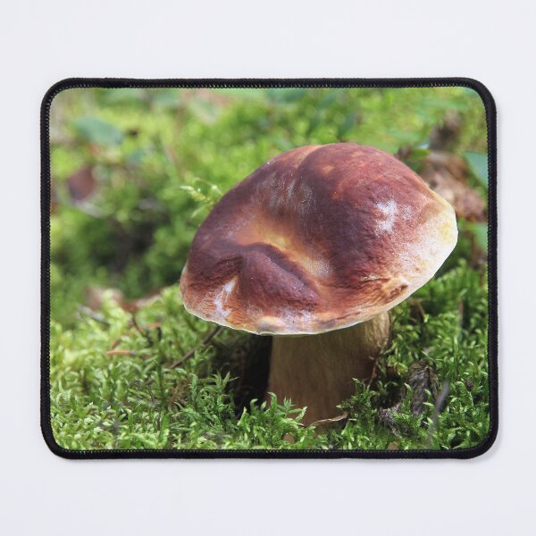 Item preview, Boletus Edulis  designed and sold by Teresa Zieba.