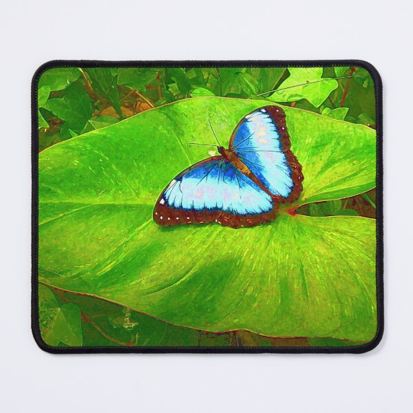 Item preview, Painted Blue Morpho designed and sold by Teresa Zieba.