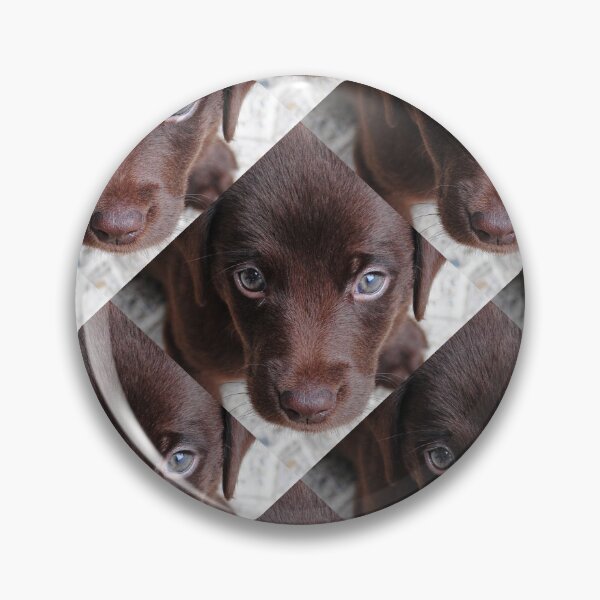 Item preview, Cute Dog Pattern Pillow designed and sold by Pillow-Country.
