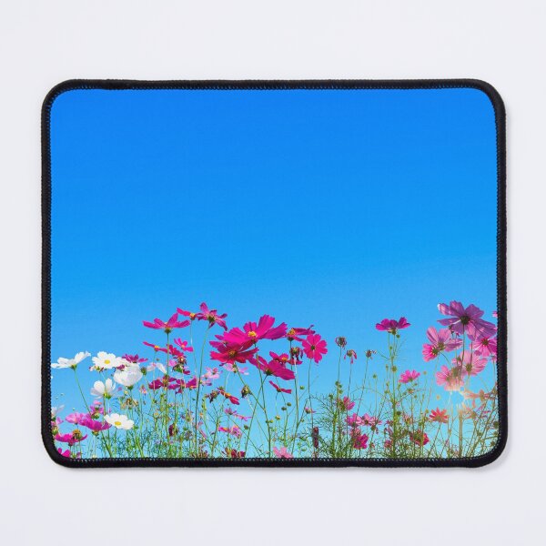 Item preview, Cosmos flowers blue sky designed and sold by Miss Sparkle.