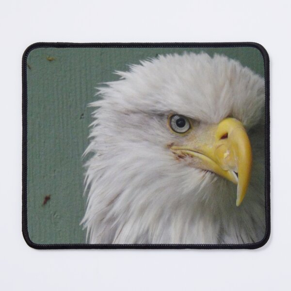 Item preview, Eagle designed and sold by SusanAdey.