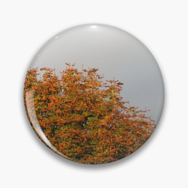 Item preview, Sunlight On Autumn designed and sold by lezvee.