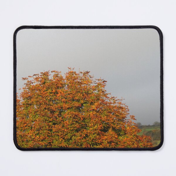 Item preview, Sunlight On Autumn designed and sold by lezvee.