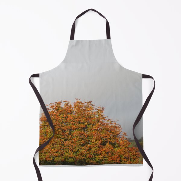 Item preview, Sunlight On Autumn designed and sold by lezvee.