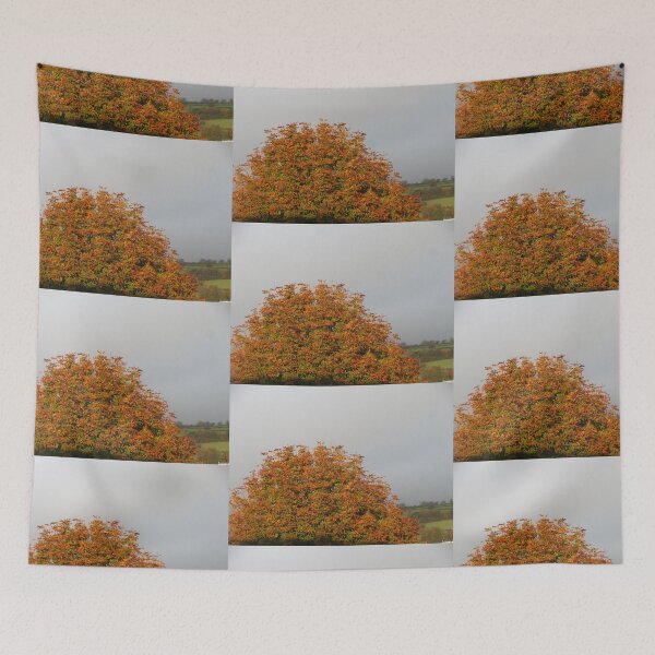 Item preview, Sunlight On Autumn designed and sold by lezvee.
