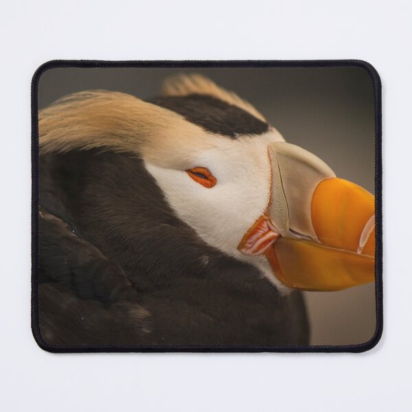 Item preview, Tufted Puffin designed and sold by SusanAdey.
